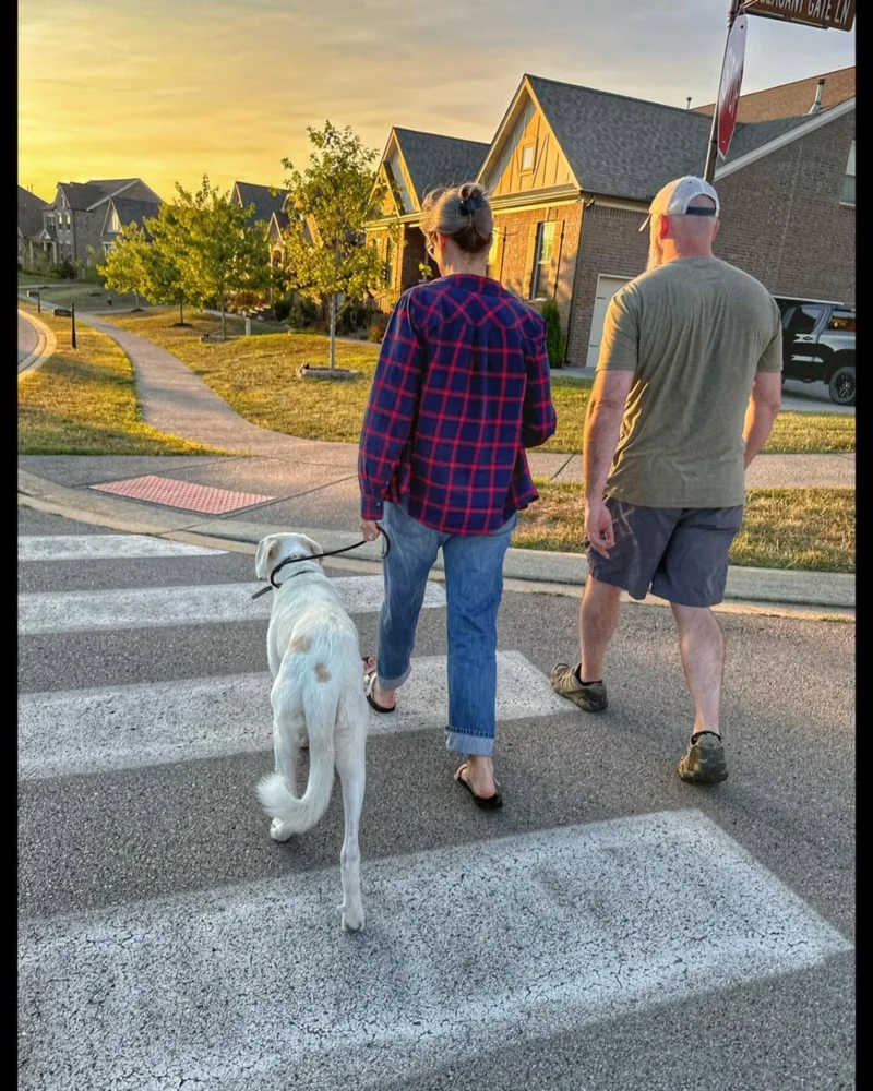 A couple walking their dog across the street at sunset
