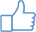 Facebook Thumbs Up