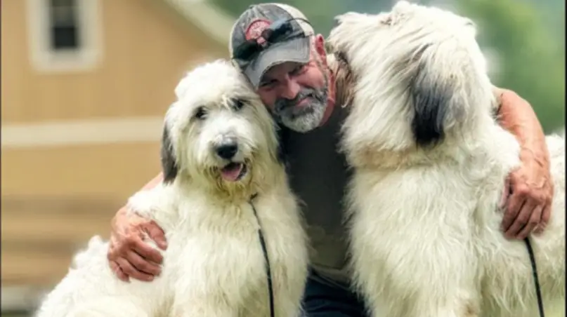 A trainer with two large white dogs on the grass