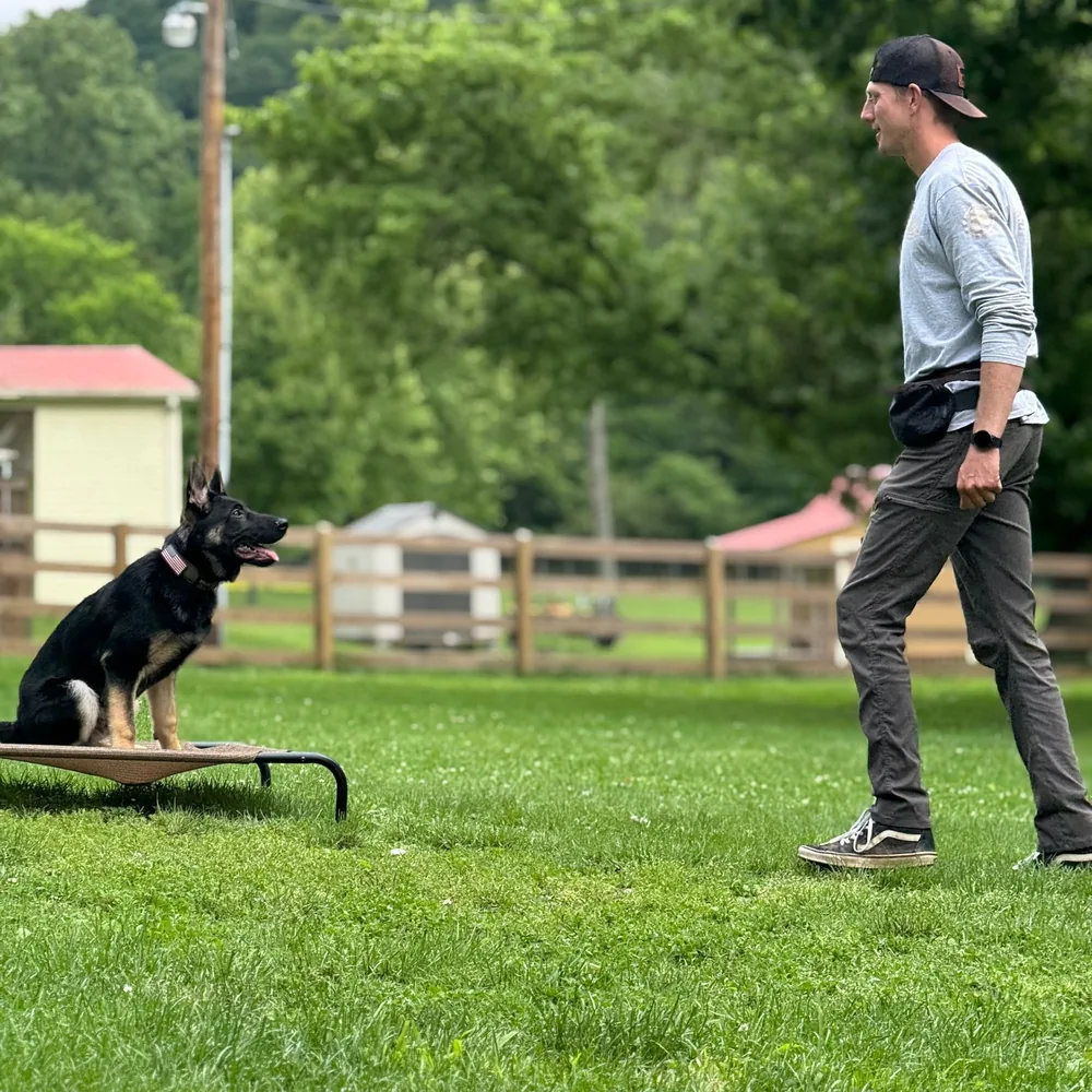John Feldewert holding a German Shepherd on a place command