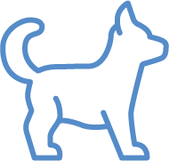 Puppy Training