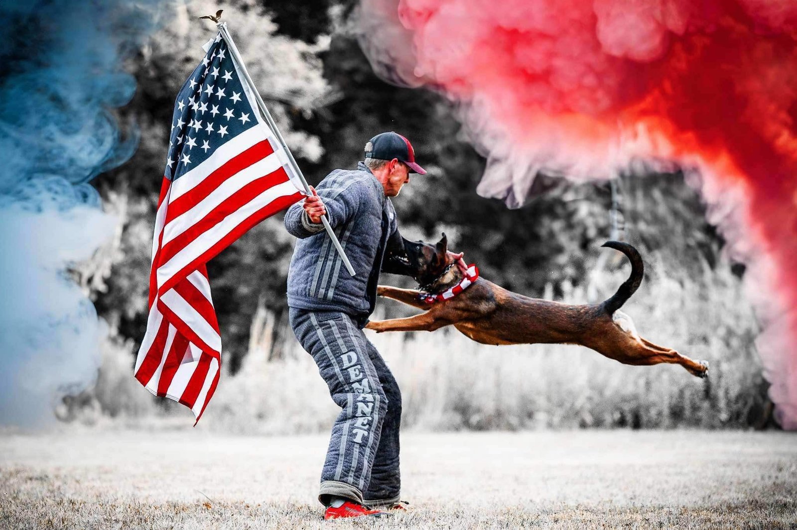 Trainer with American flag and dog